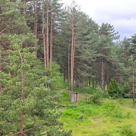 Zlatibor Holiday, Vila Leonardo VI Екстериор снимка